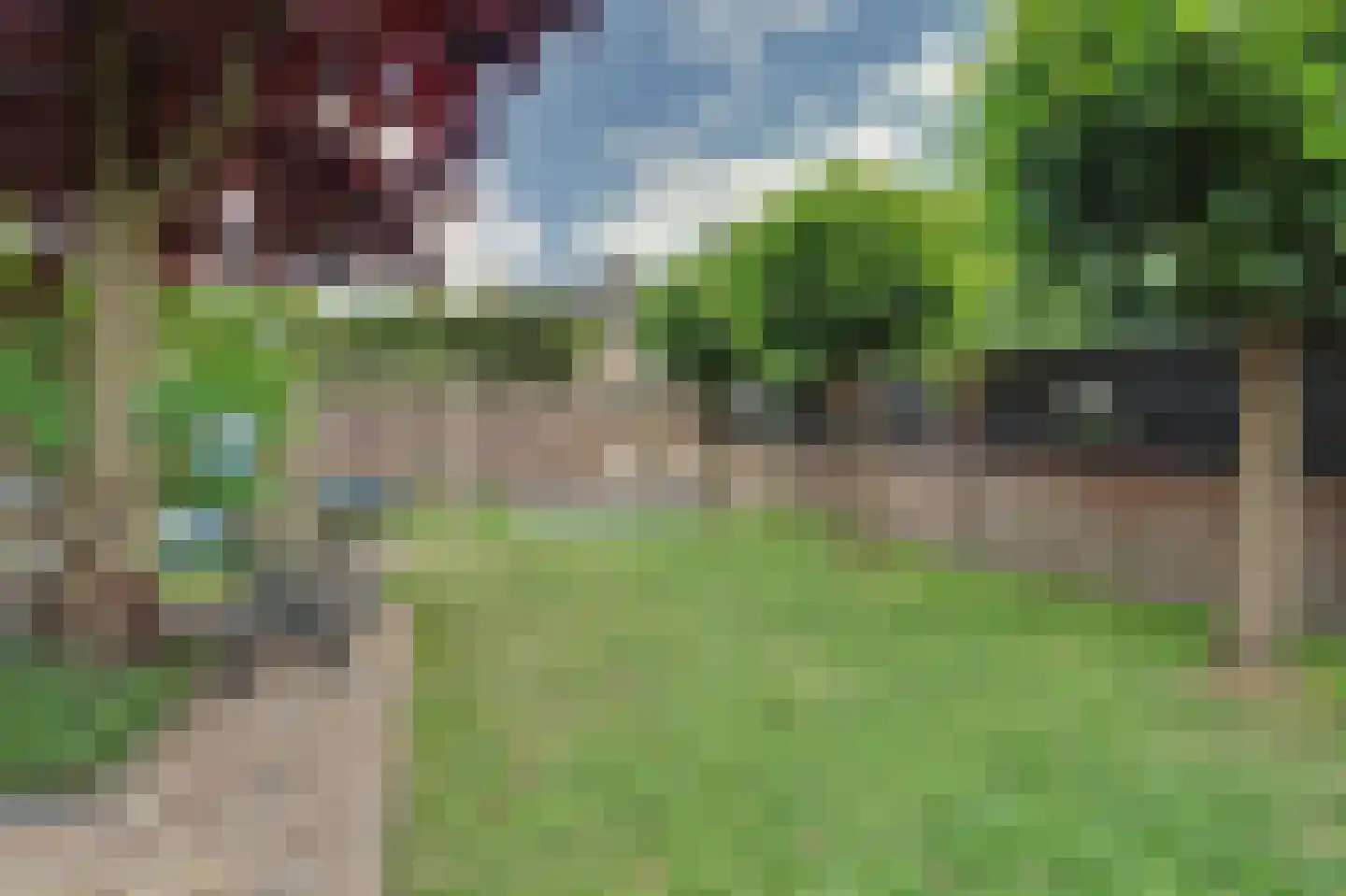 Blokekker 22 Reusel thumbnail 34