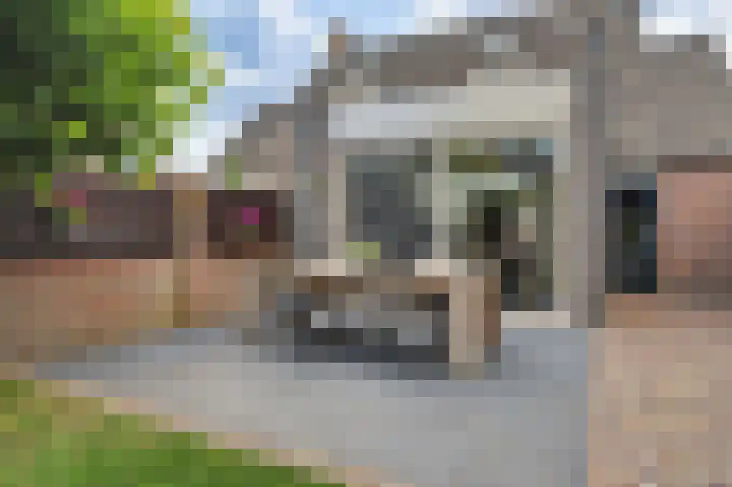 Blokekker 22 Reusel thumbnail 41