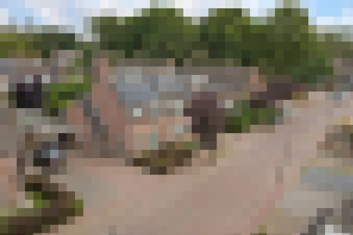 Blokekker 22 Reusel thumbnail 44