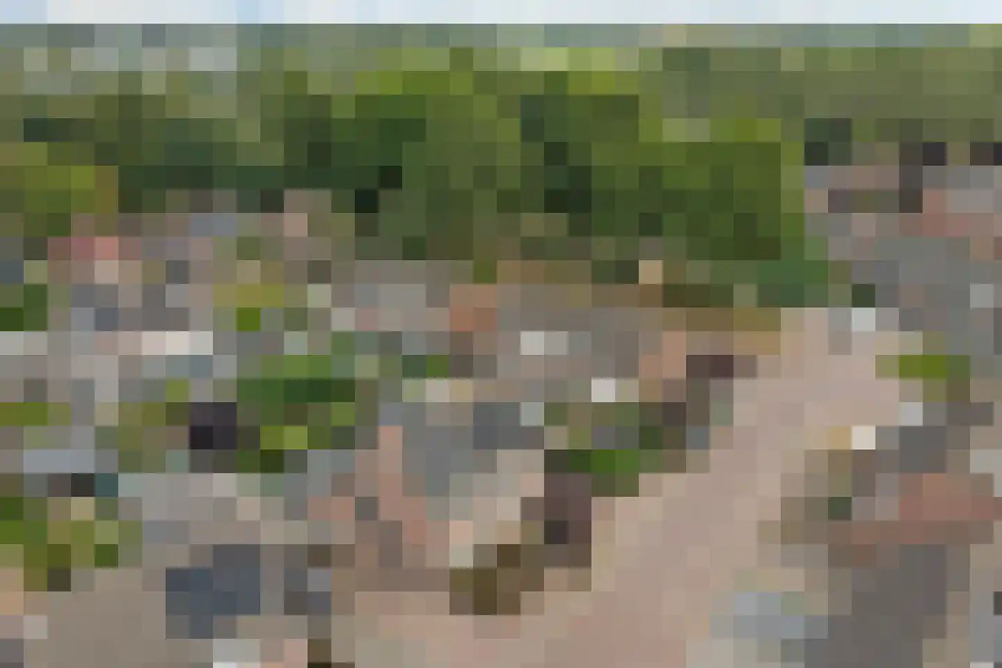 Blokekker 22 Reusel thumbnail 45