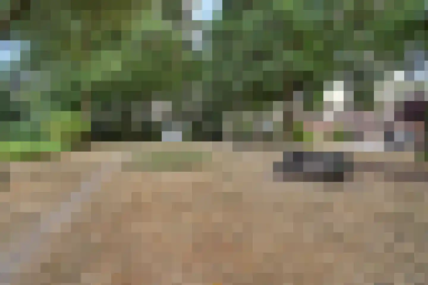 Blokekker 22 Reusel thumbnail 46