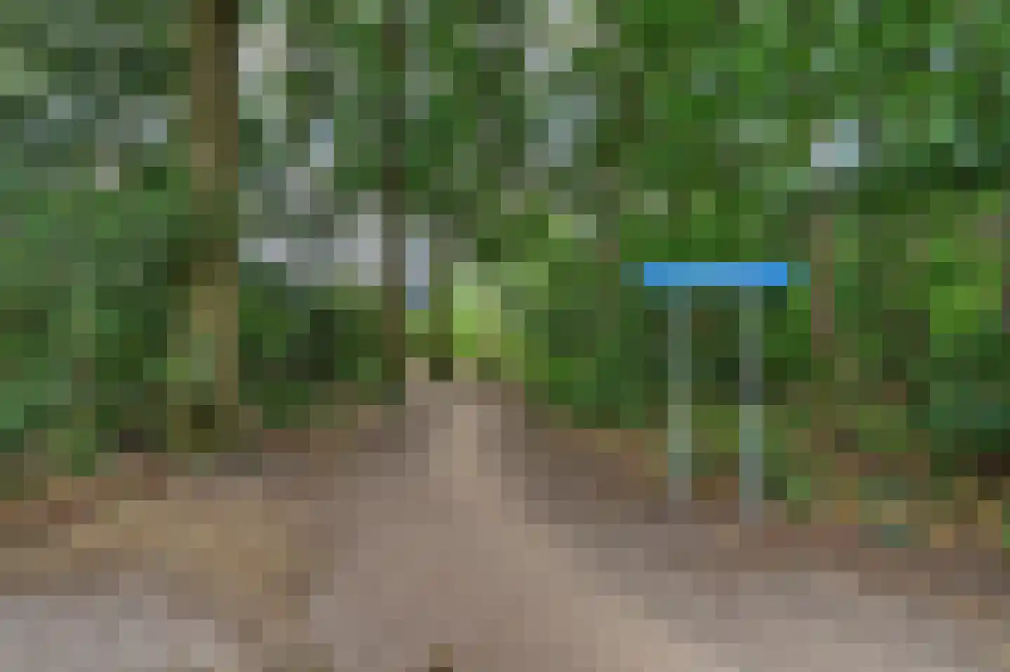 Blokekker 22 Reusel thumbnail 47