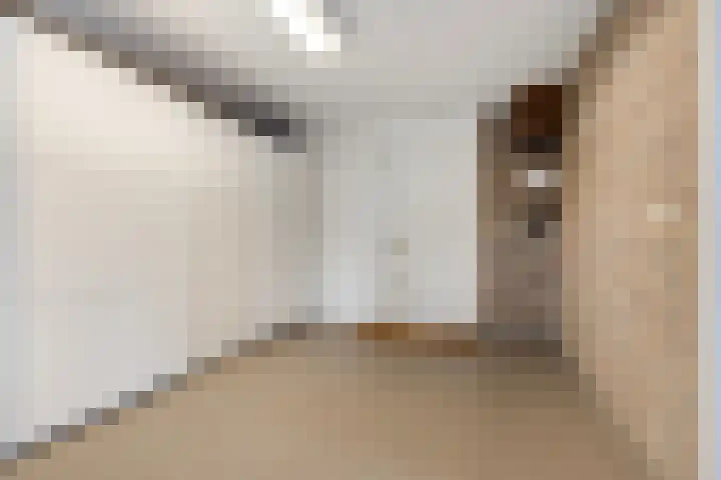 Blokfluitlaan 4 Oldenzaal thumbnail 12
