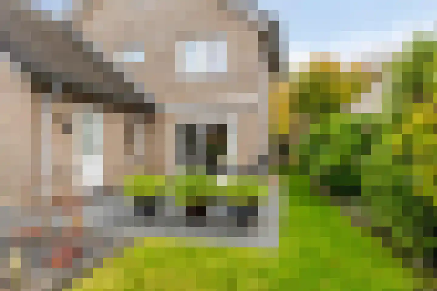 Blokfluitlaan 4 Oldenzaal thumbnail 24