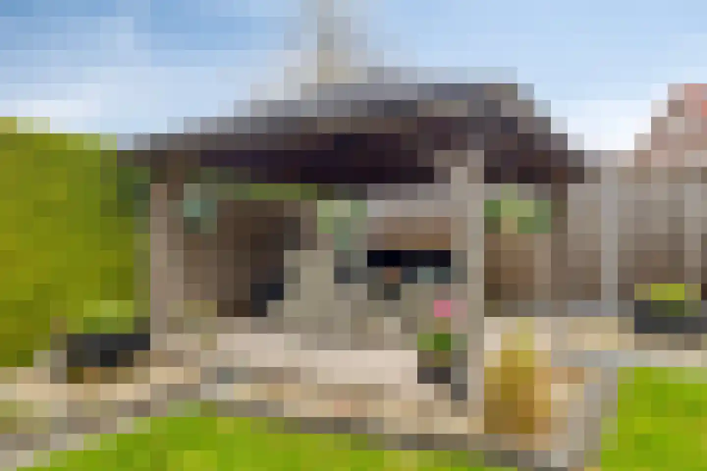 Blokfluitlaan 4 Oldenzaal thumbnail 26