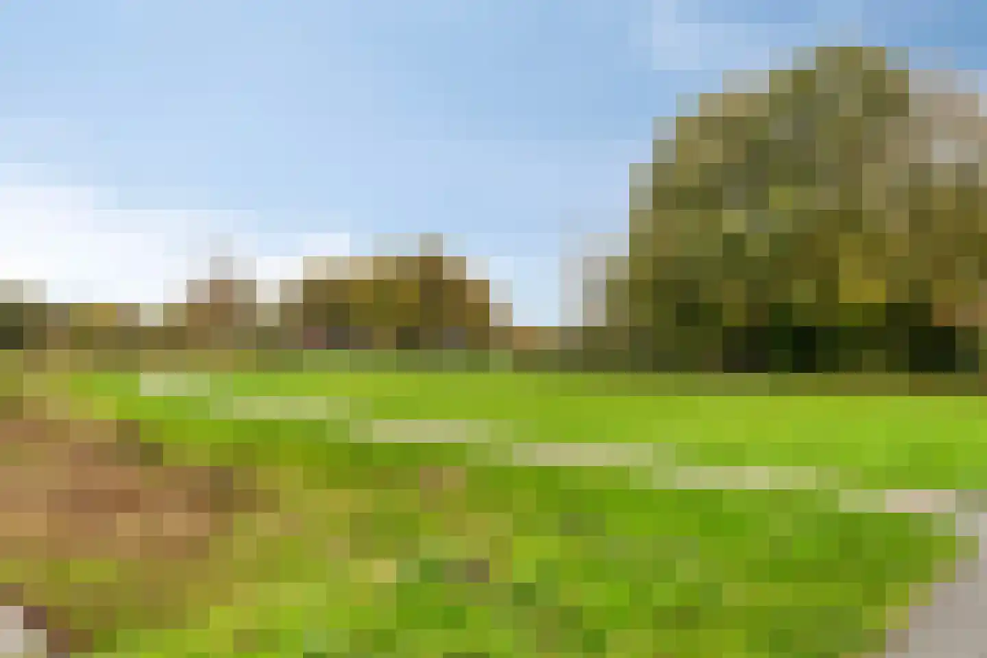 Blokfluitlaan 4 Oldenzaal thumbnail 29