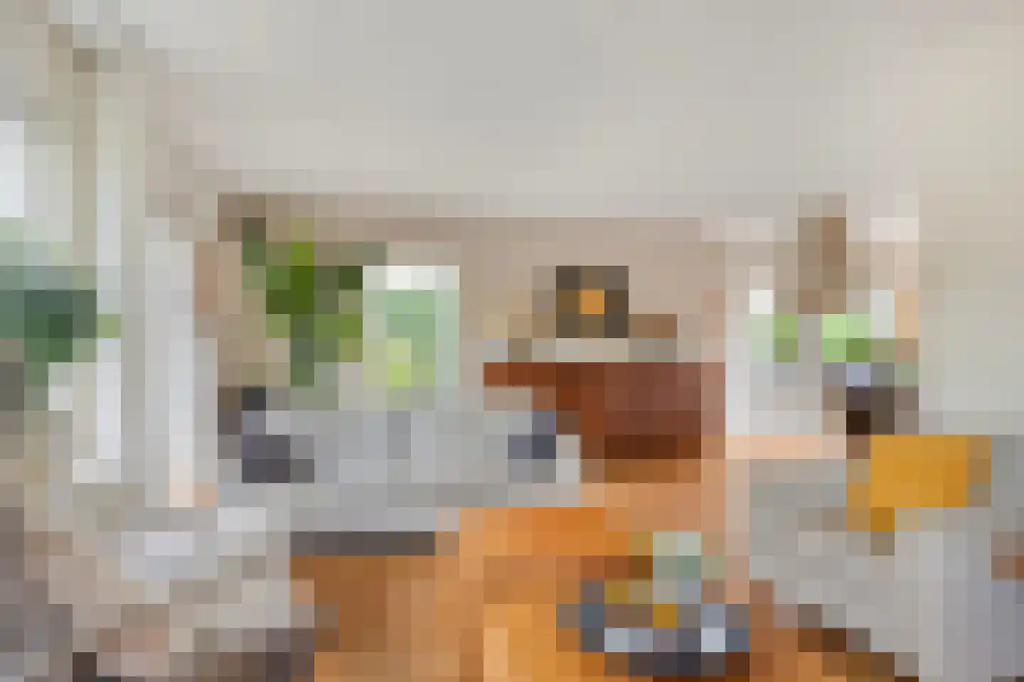 Blokfluitlaan 4 Oldenzaal thumbnail 5