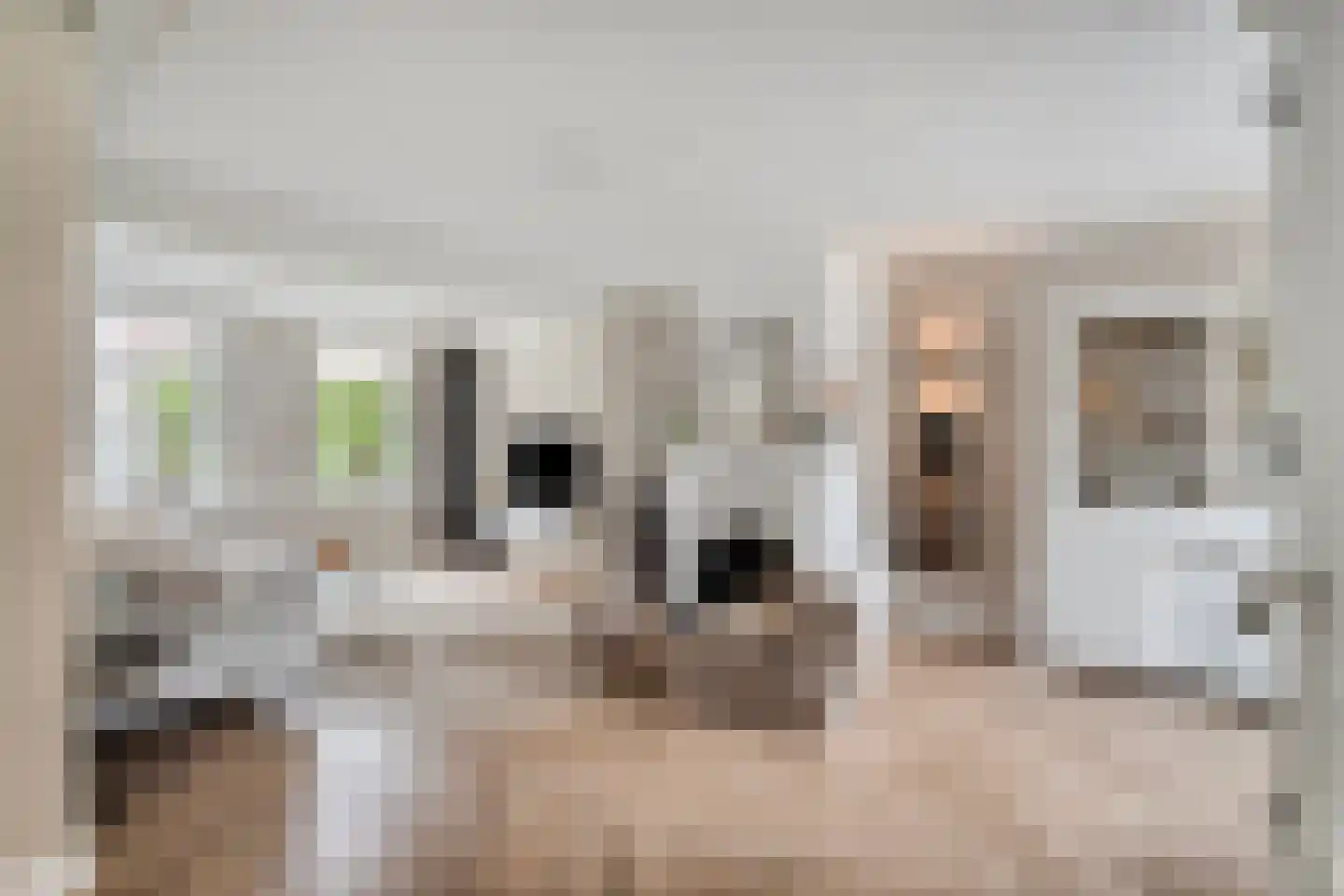 Blokhuis 10 Harderwijk thumbnail 10