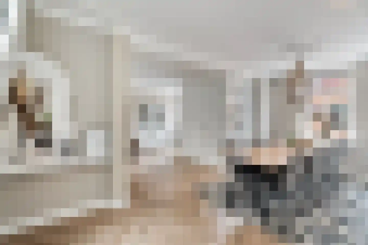 Blokhuis 10 Harderwijk thumbnail 19