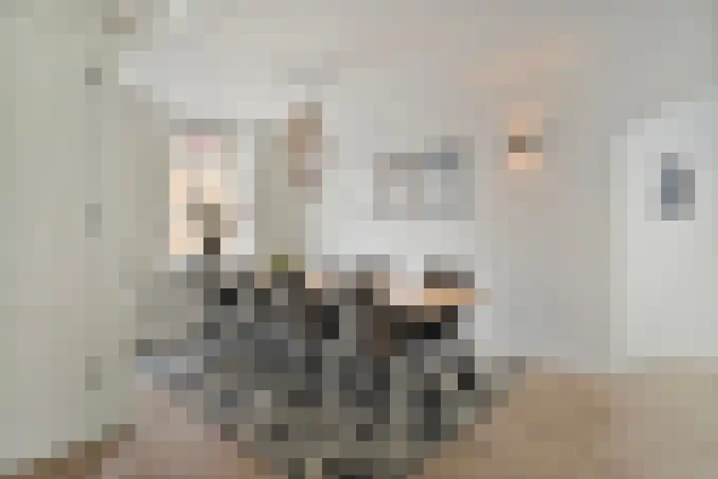 Blokhuis 10 Harderwijk thumbnail 21