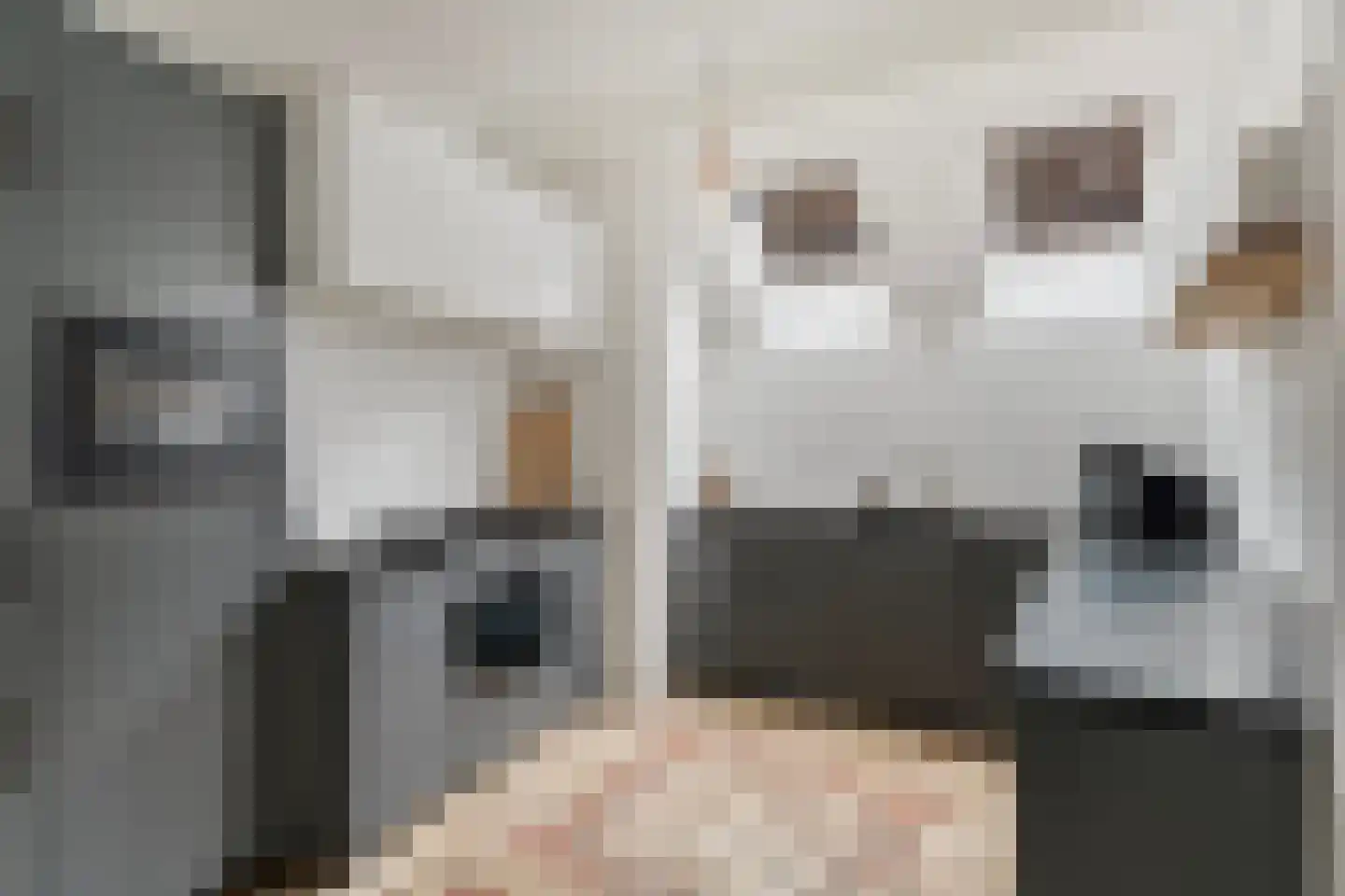 Blokhuis 10 Harderwijk thumbnail 23