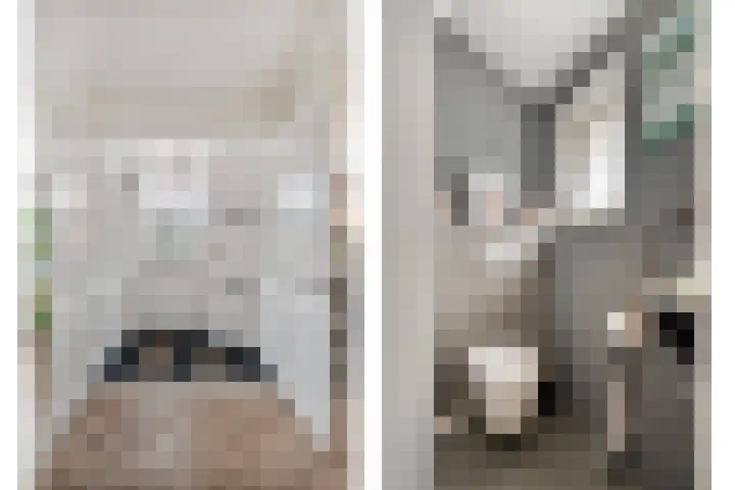 Blokhuis 10 Harderwijk thumbnail 30