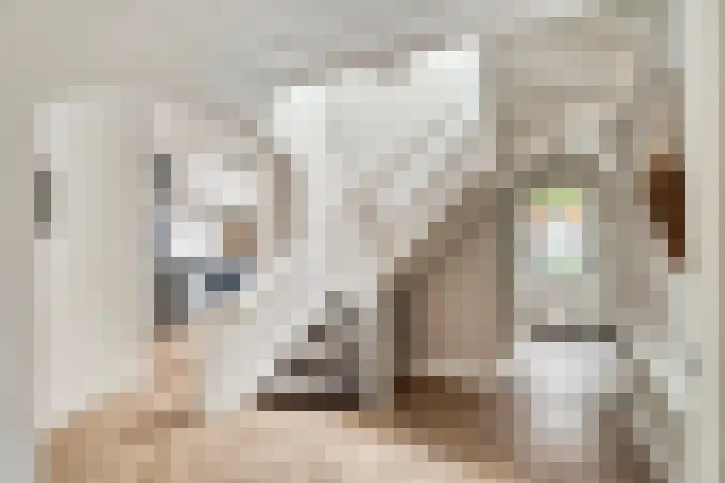 Blokhuis 10 Harderwijk thumbnail 31