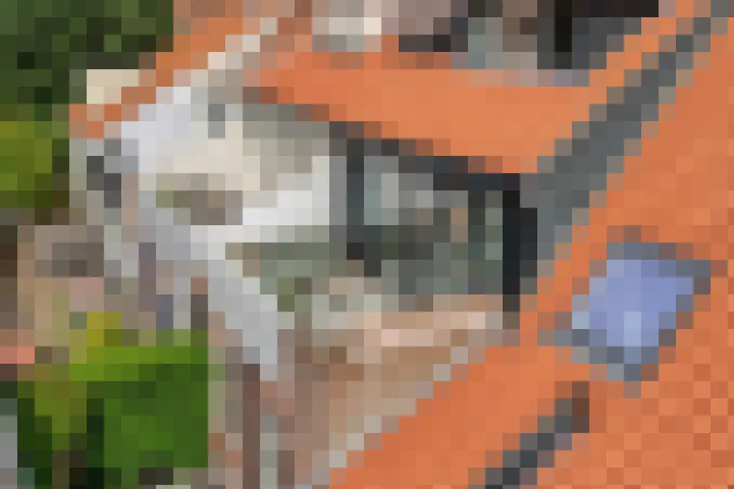Blokhuis 10 Harderwijk thumbnail 55