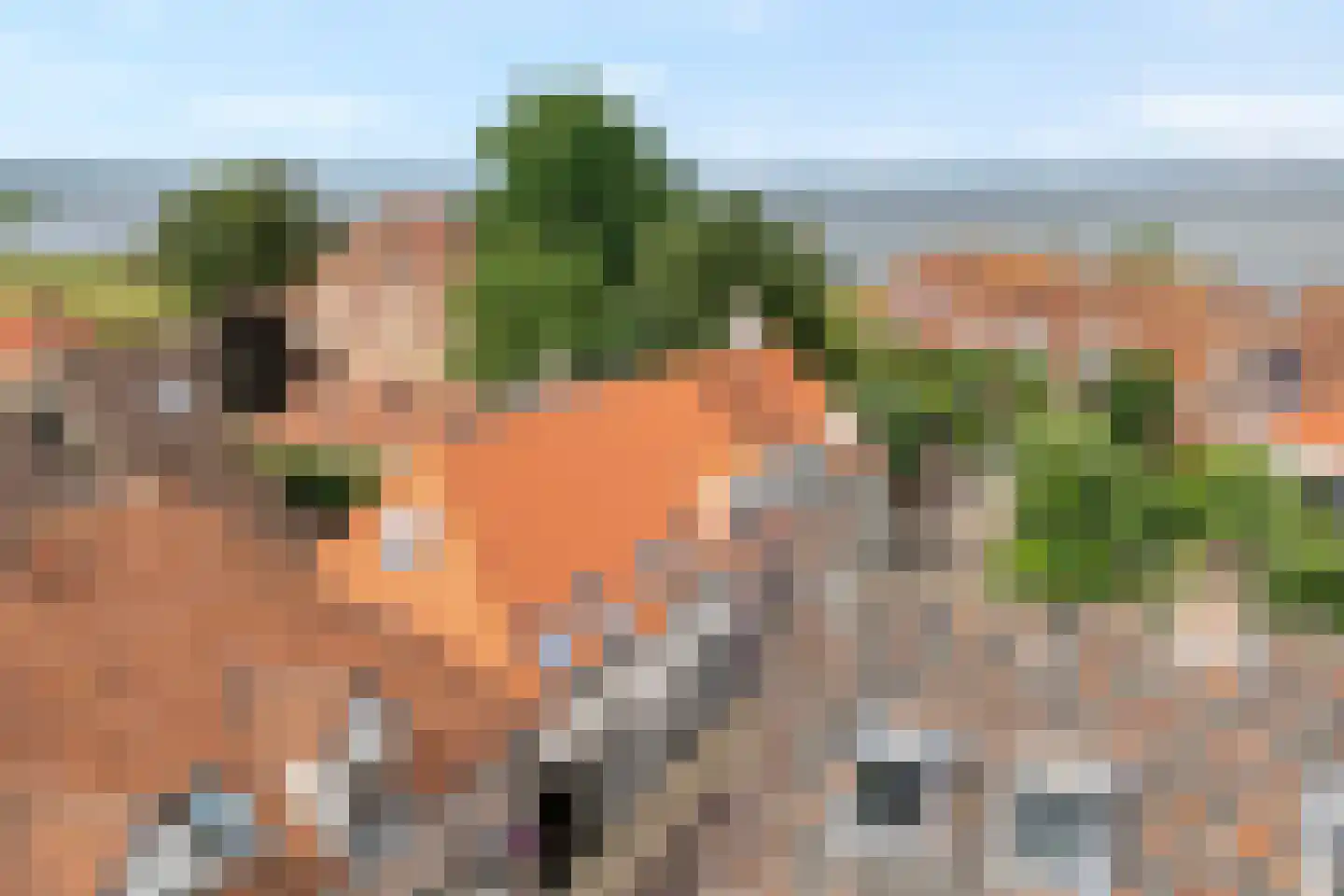 Blokhuis 10 Harderwijk thumbnail 57