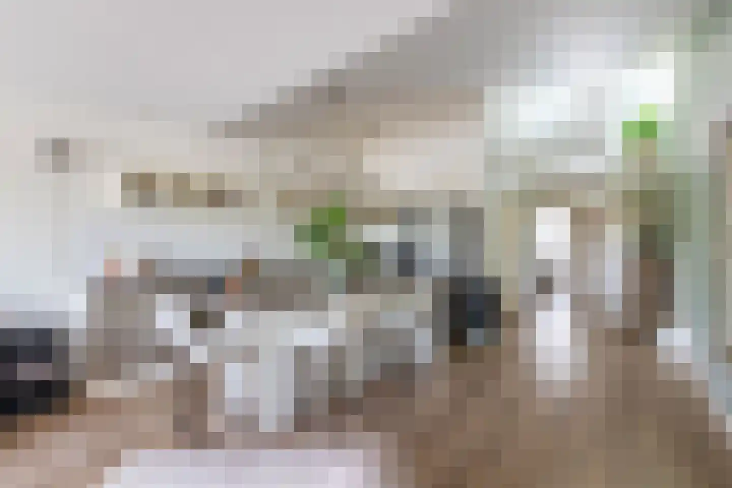 Blokhuis 3 Lisse thumbnail 10