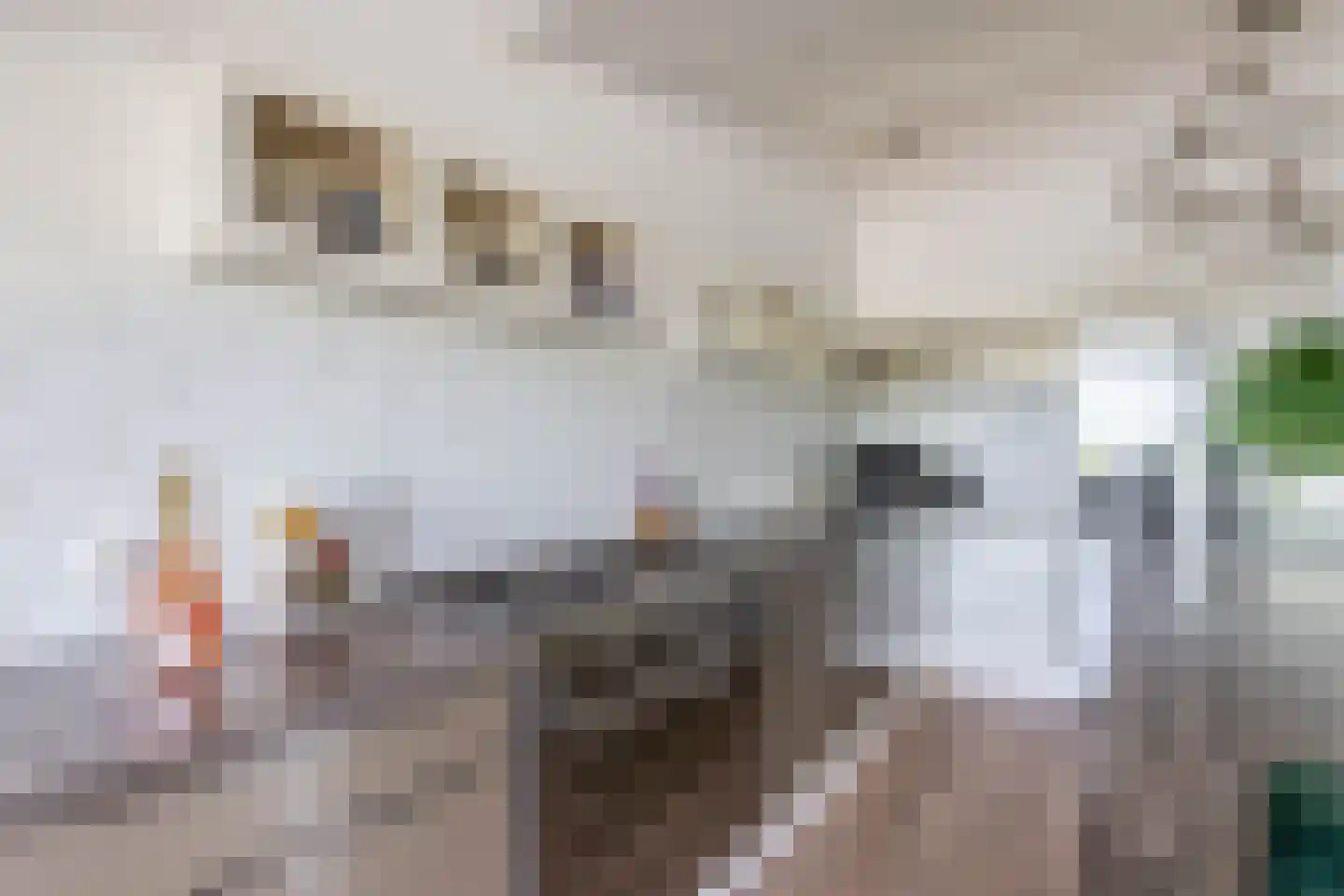 Blokhuis 3 Lisse thumbnail 11