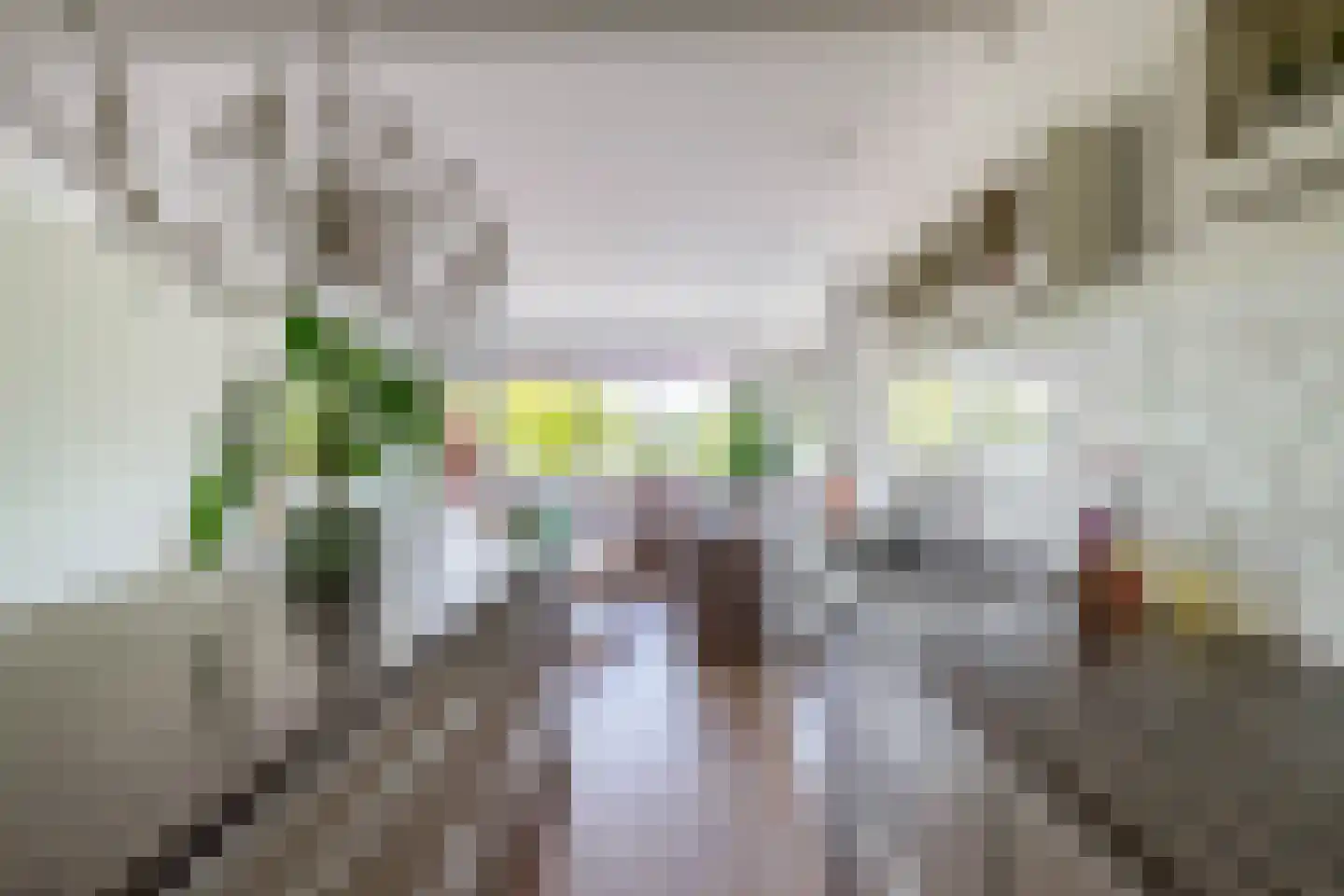 Blokhuis 3 Lisse thumbnail 13