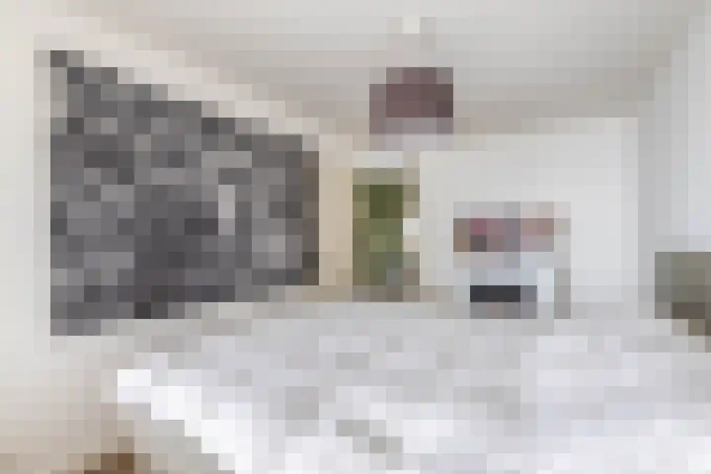 Blokhuis 3 Lisse thumbnail 17
