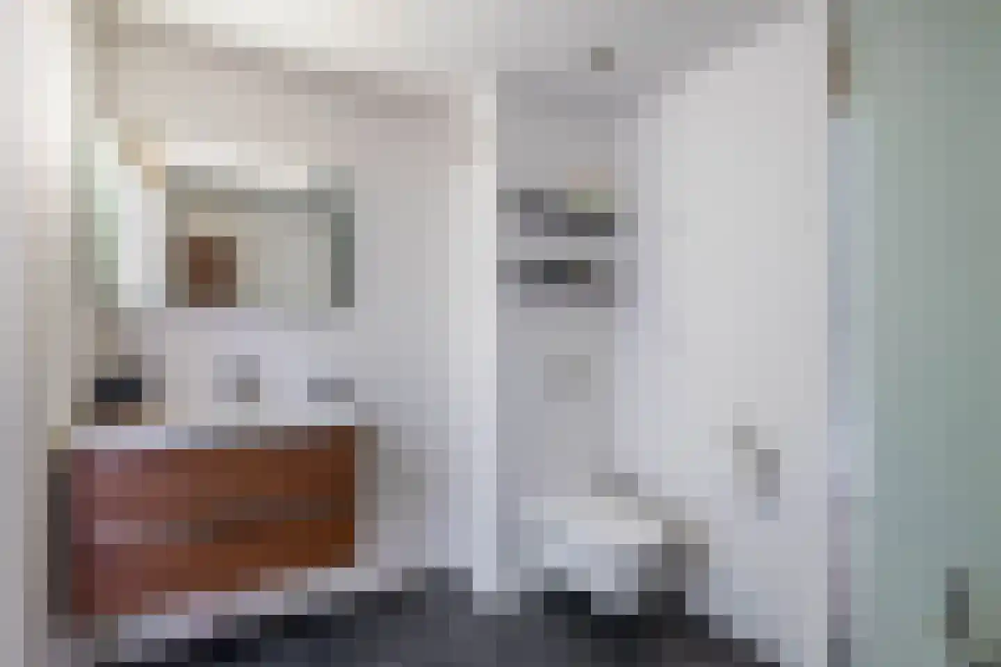 Blokhuis 3 Lisse thumbnail 19