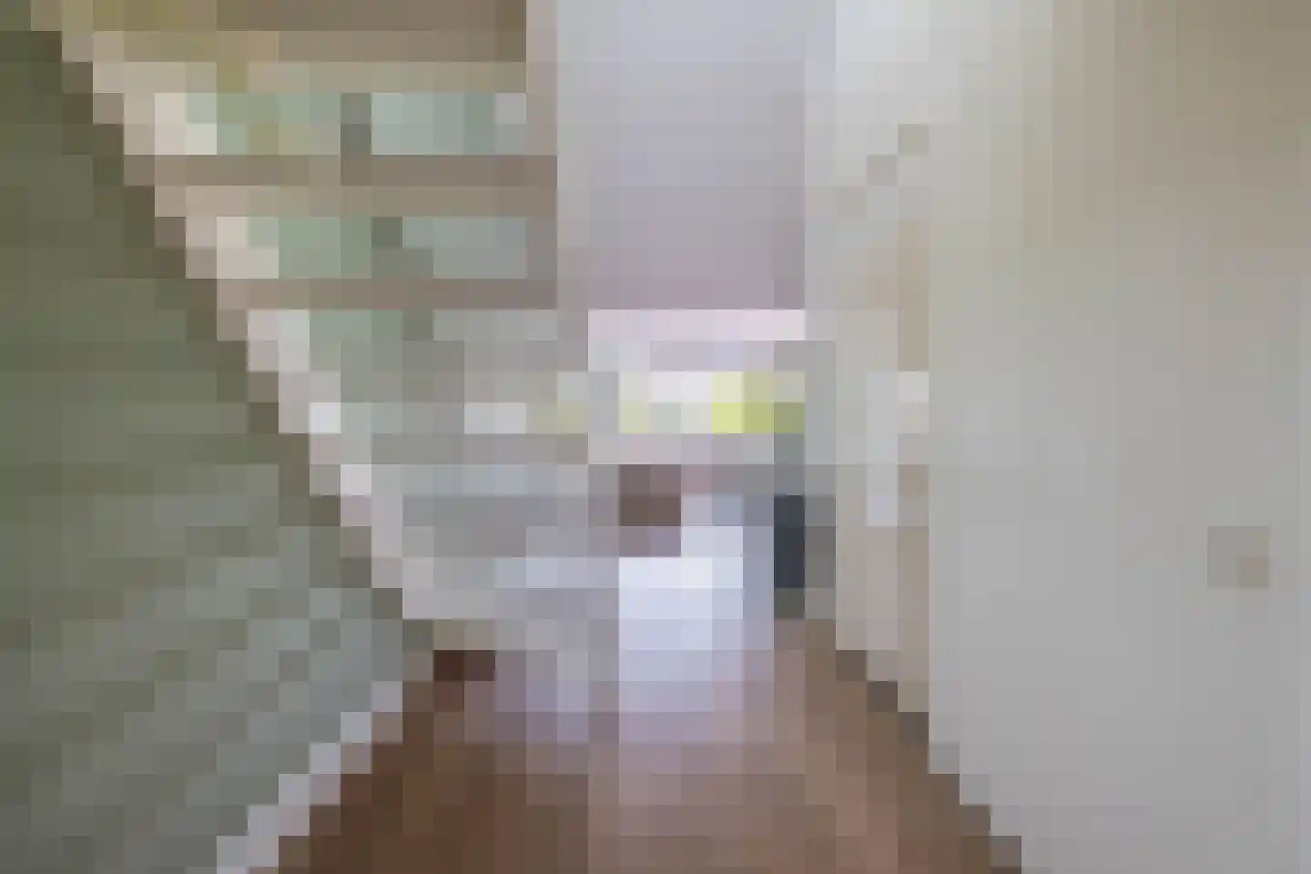 Blokhuis 3 Lisse thumbnail 21
