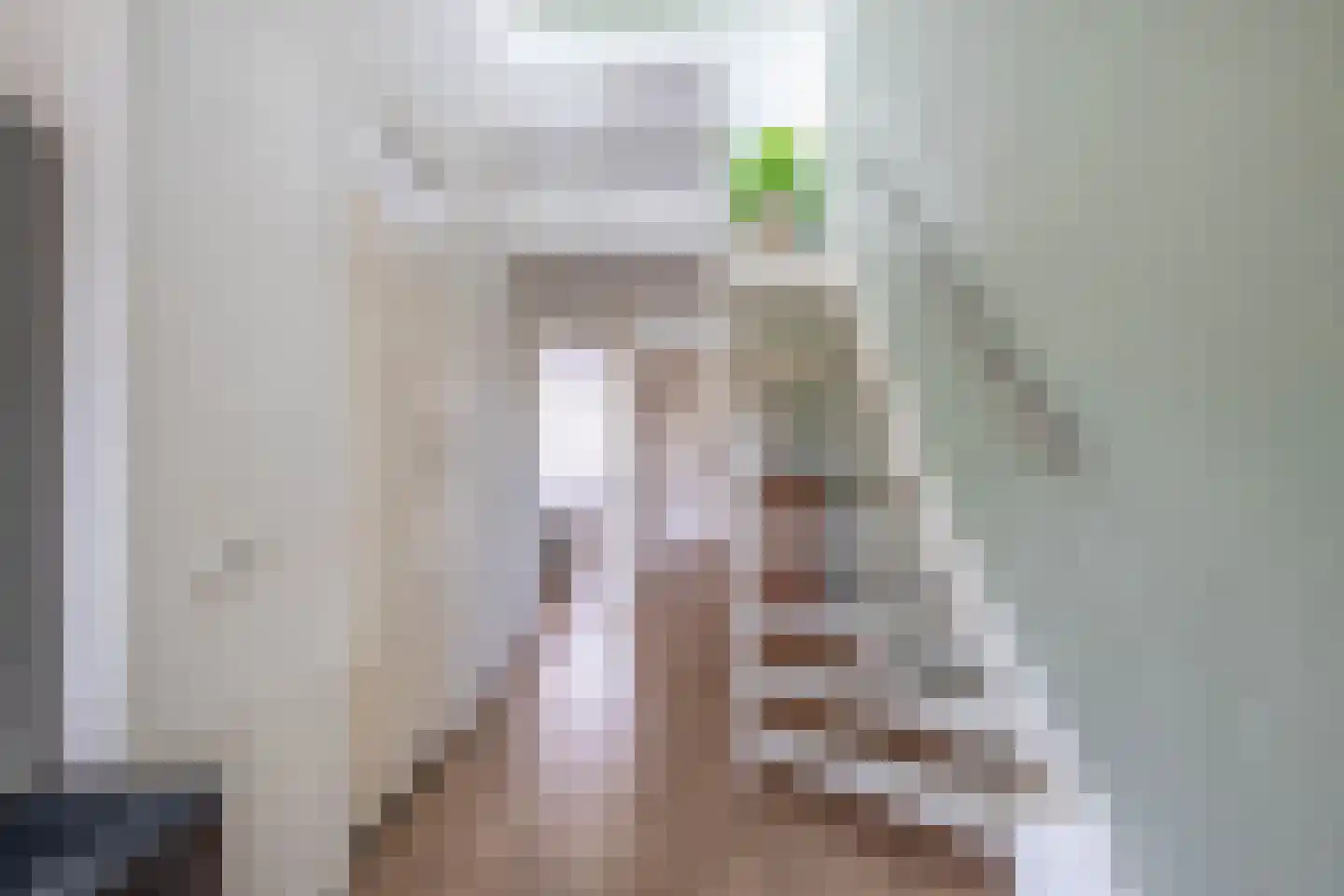 Blokhuis 3 Lisse thumbnail 22
