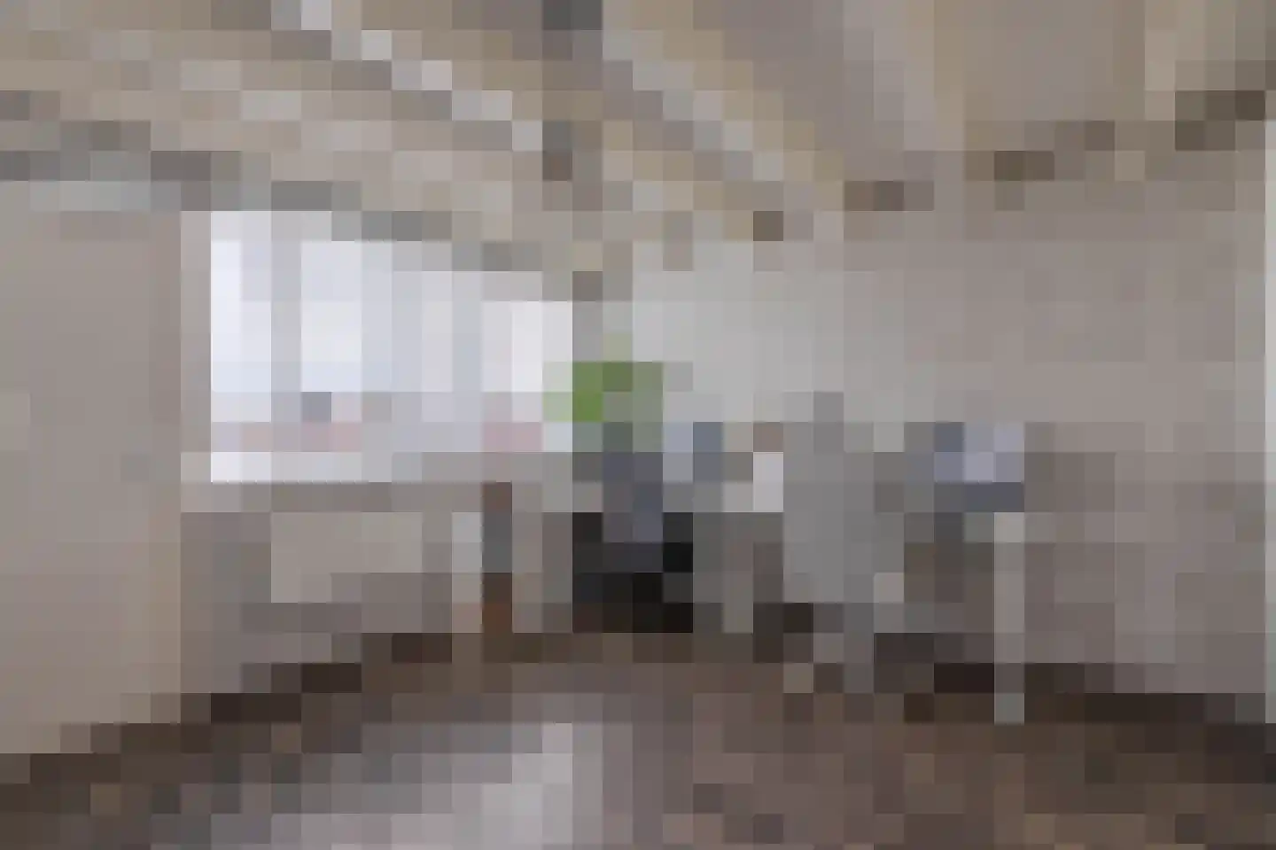 Blokhuis 3 Lisse thumbnail 26