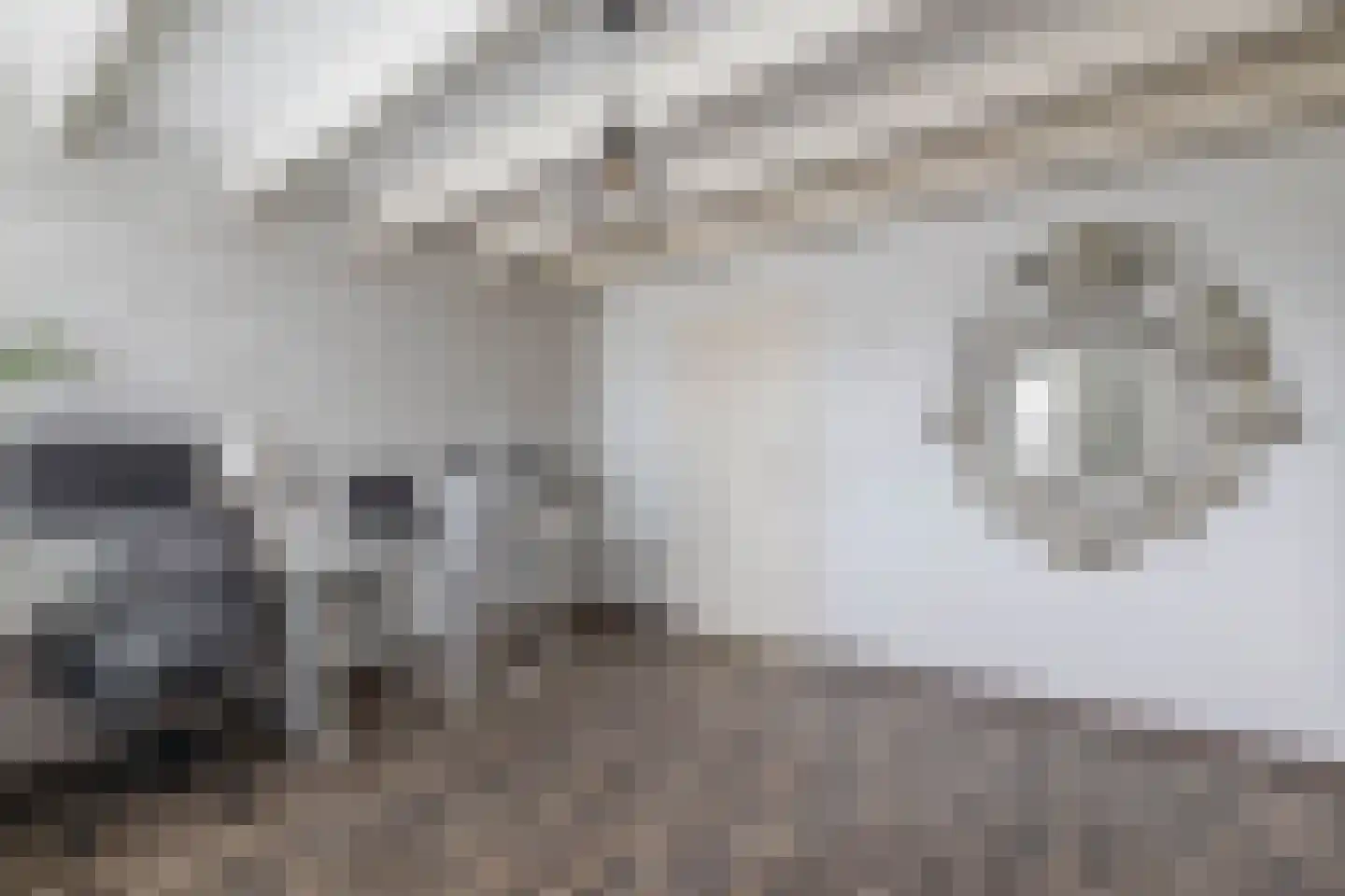 Blokhuis 3 Lisse thumbnail 28