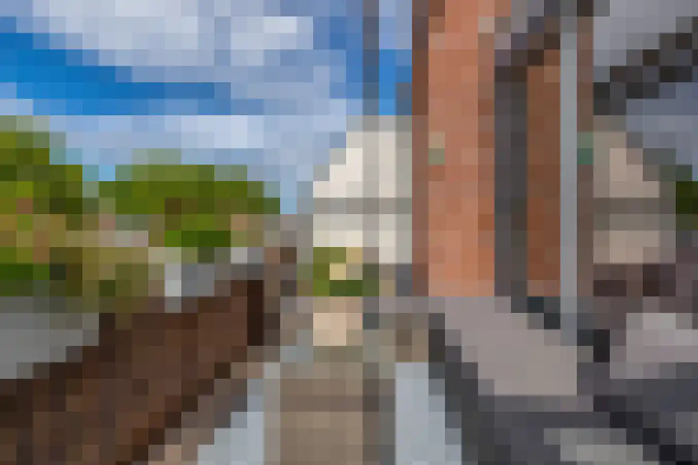 Blokhuis 3 Lisse thumbnail 30