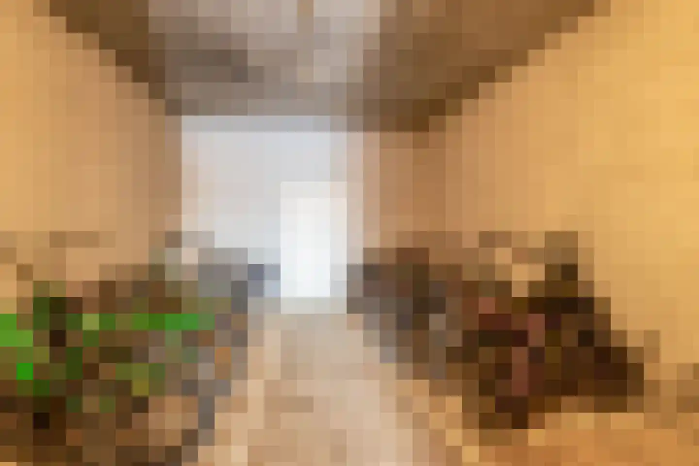 Blokhuis 3 Lisse thumbnail 33