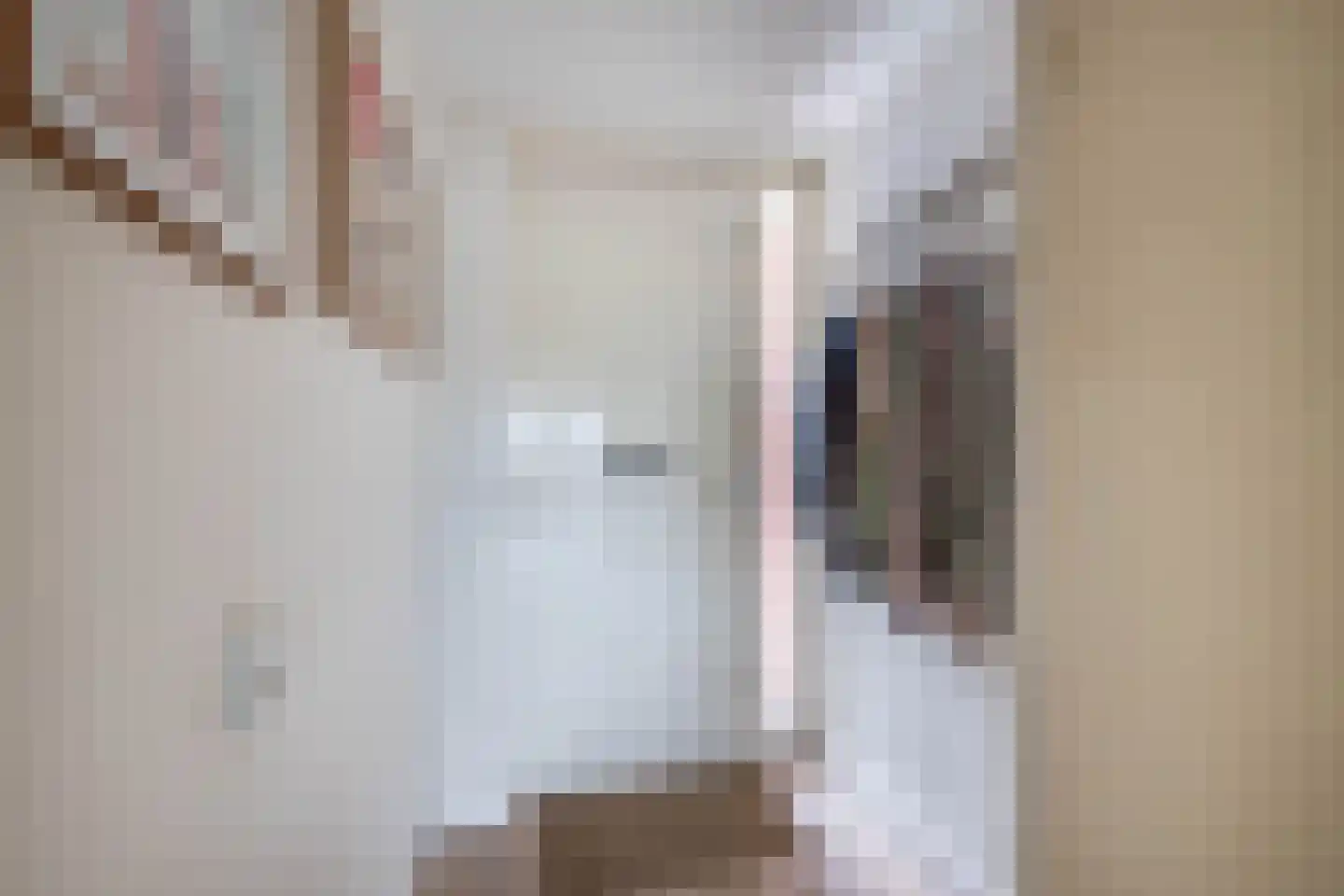 Blokhuis 3 Lisse thumbnail 36