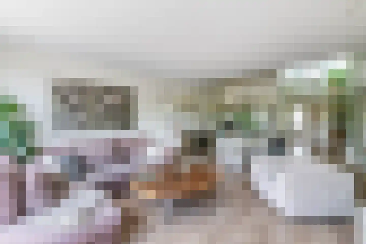 Blokhuis 3 Lisse thumbnail 4