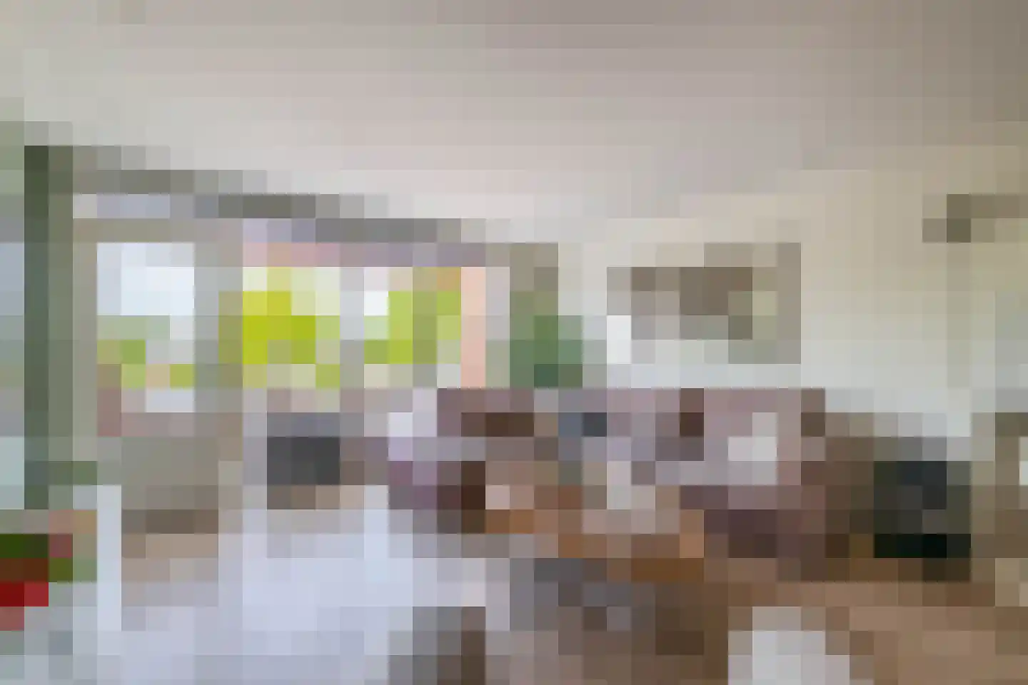 Blokhuis 3 Lisse thumbnail 6