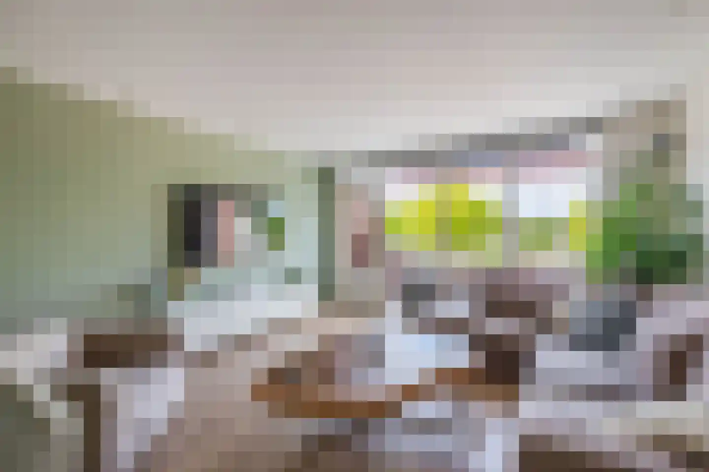 Blokhuis 3 Lisse thumbnail 7