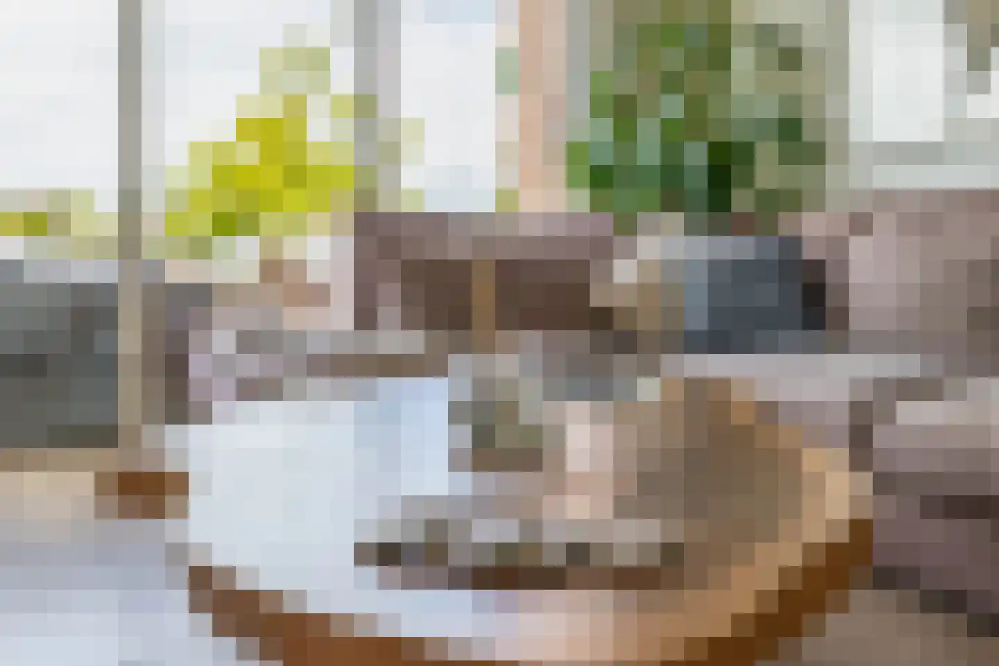 Blokhuis 3 Lisse thumbnail 8