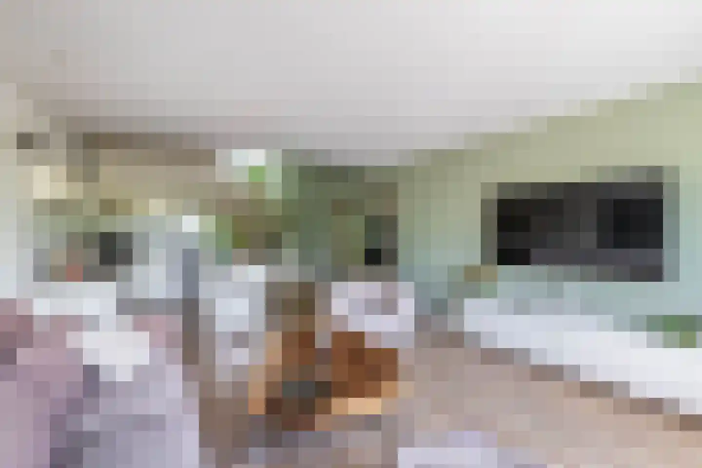 Blokhuis 3 Lisse thumbnail 9