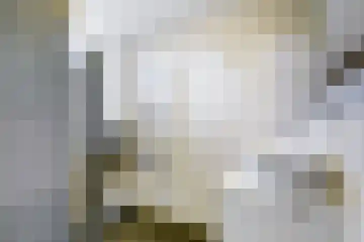 Blokhuislaan 208 Doetinchem thumbnail 14