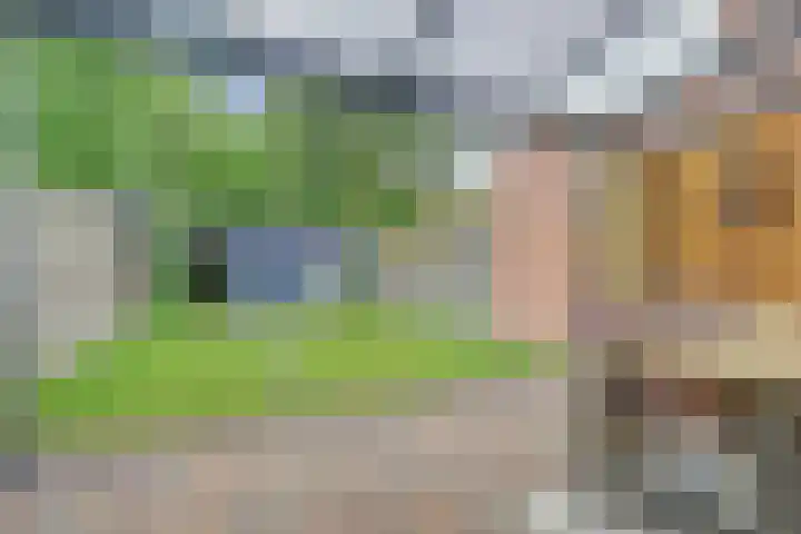Blokhuislaan 208 Doetinchem thumbnail 18