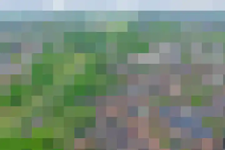 Blokhuislaan 208 Doetinchem thumbnail 21