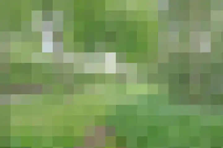 Blokhuislaan 208 Doetinchem thumbnail 22