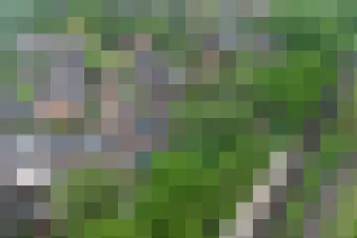 Blokhuislaan 208 Doetinchem thumbnail 23
