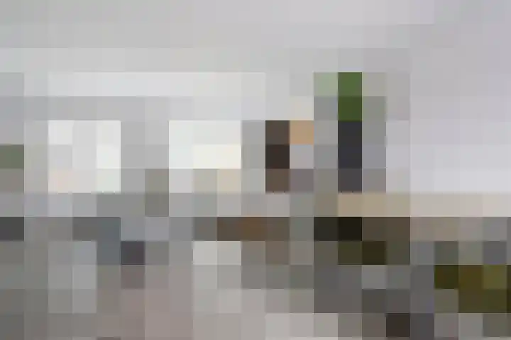 Blokhuislaan 208 Doetinchem thumbnail 4
