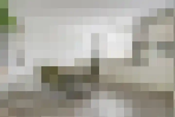 Blokhuislaan 208 Doetinchem thumbnail 6