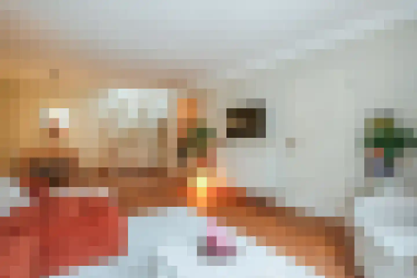 Blokhuissteeg 4 Harderwijk thumbnail 10