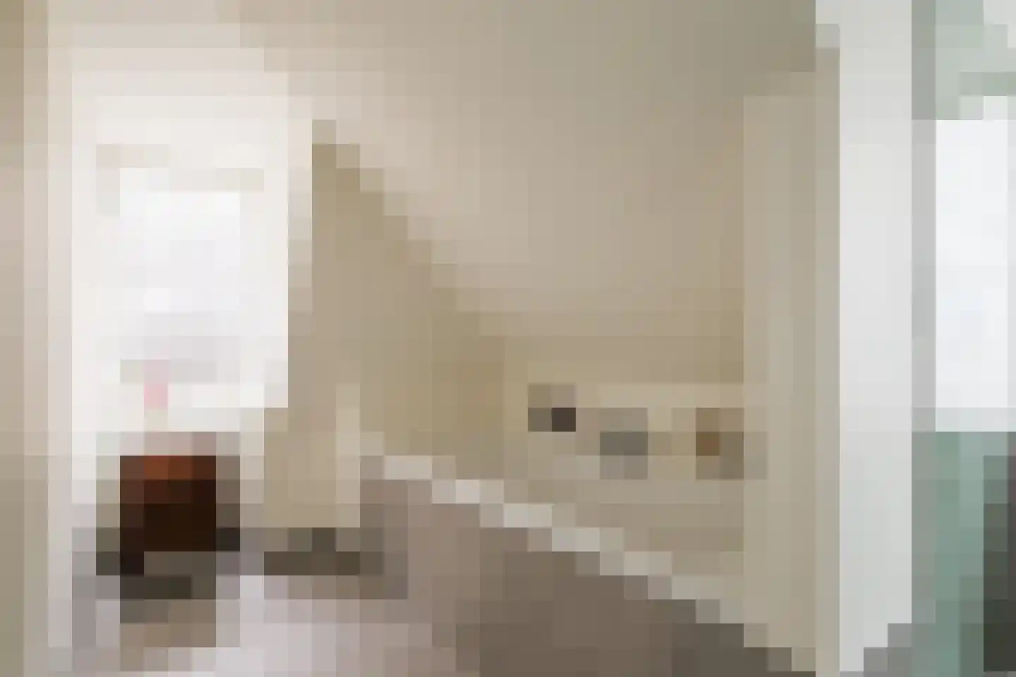 Blokhuissteeg 4 Harderwijk thumbnail 33
