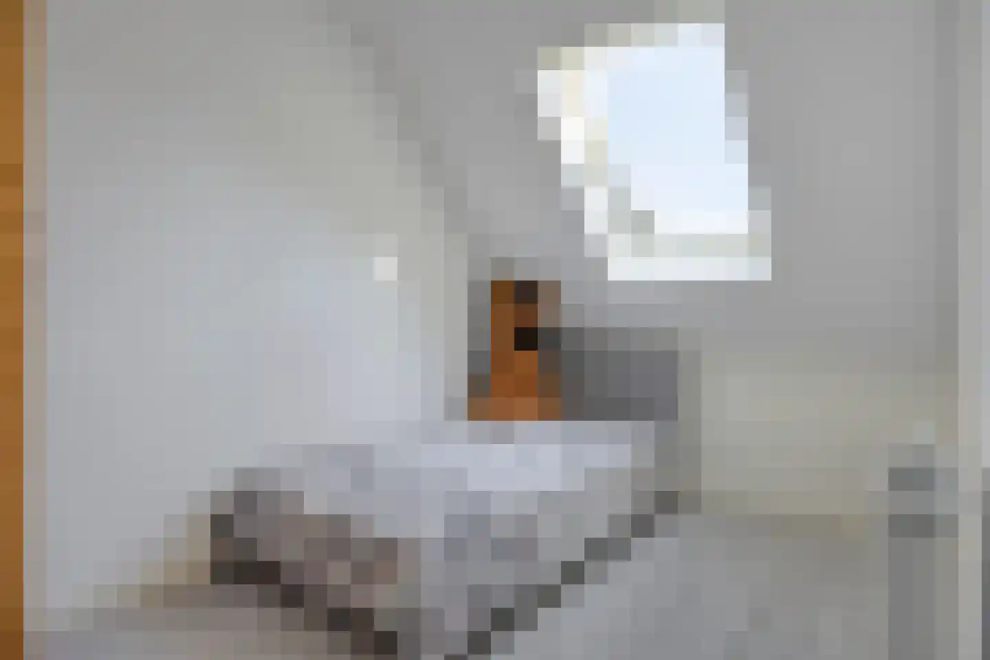Blokhuys 12 Ravenswaaij thumbnail 17