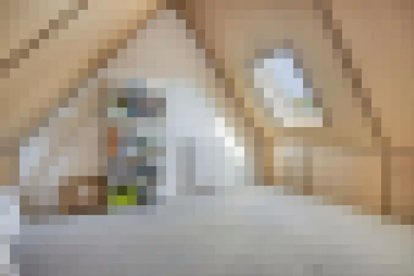 Blokhuys 12 Ravenswaaij thumbnail 23