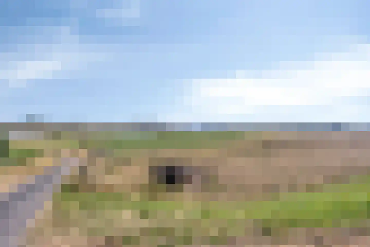 Blokhuys 12 Ravenswaaij thumbnail 30