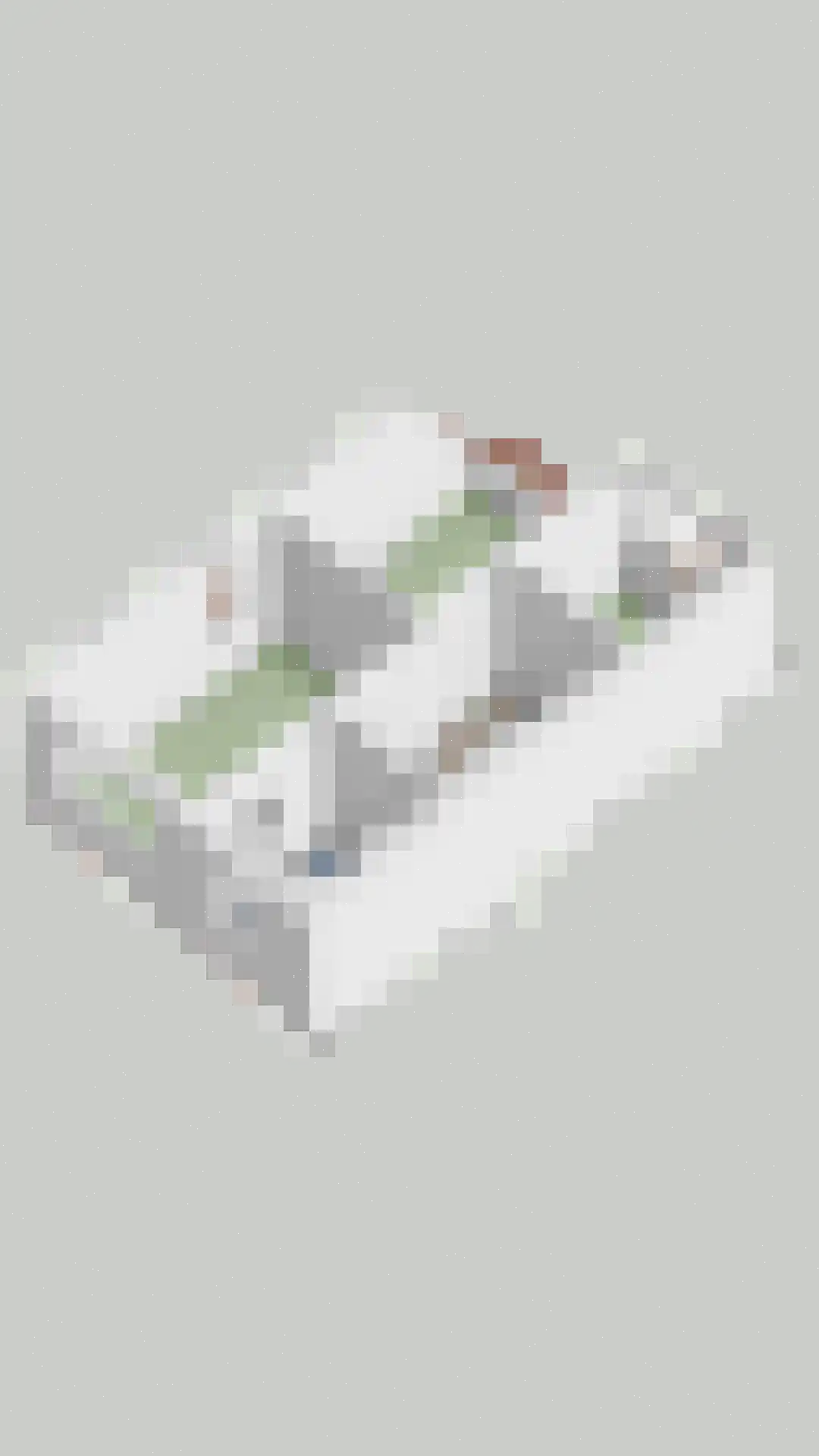 Blokhuys 12 Ravenswaaij thumbnail 34