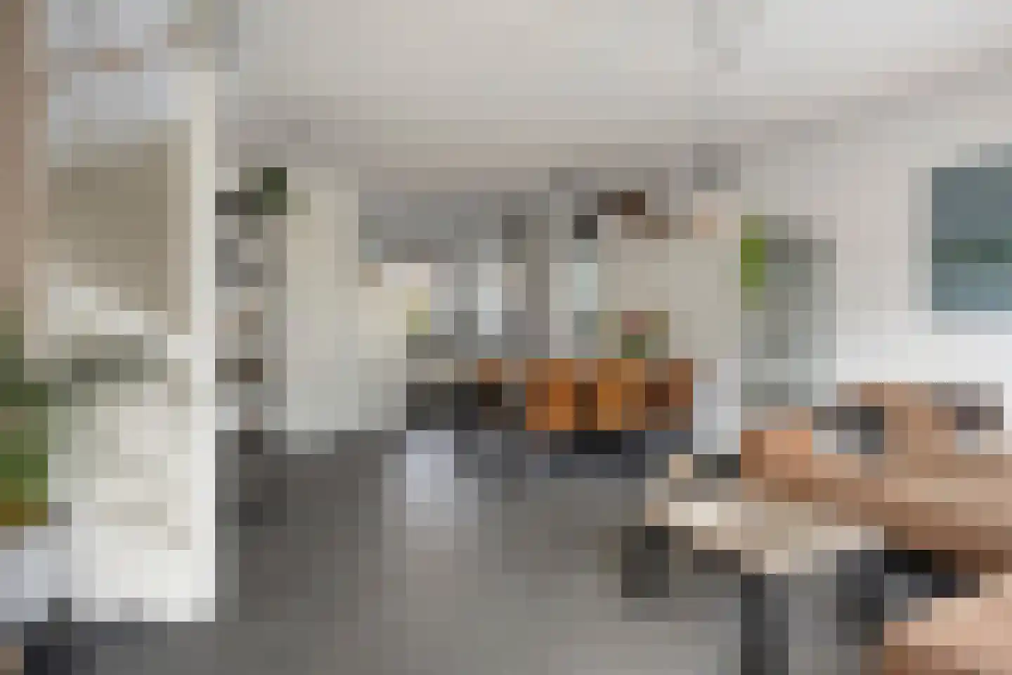Blokhuys 12 Ravenswaaij thumbnail 9